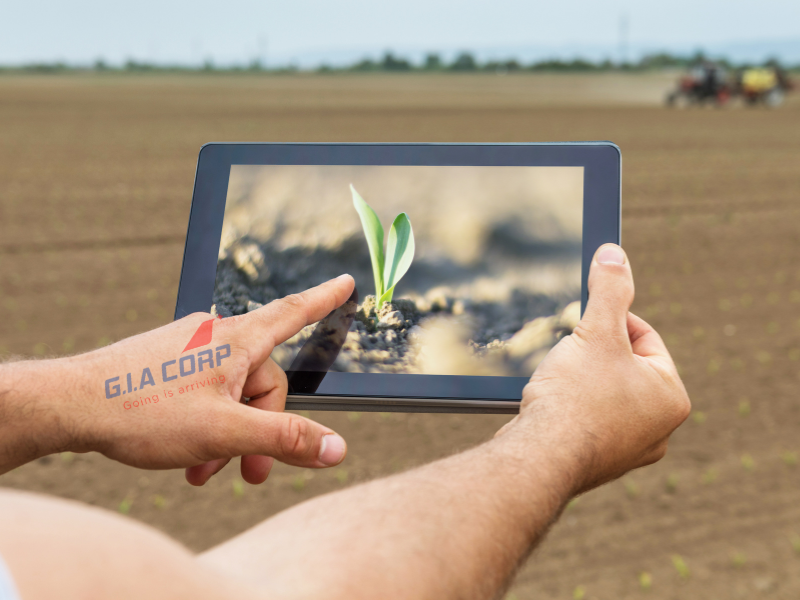 Giấy Phép Lao Động Cho Chuyên Gia Nông Nghiệp Công Nghệ Cao | G.I.A CORP