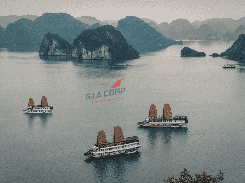 Đón Tiễn Khách VIP Tại Cảng Hạ Long – Dịch Vụ Trọn Gói & Xe Riêng | G.I.A CORP