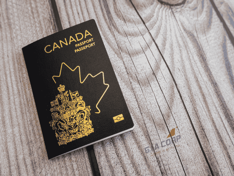 Visa Canada Cho Người Thất Nghiệp 2026 – Có Xin Được Không?