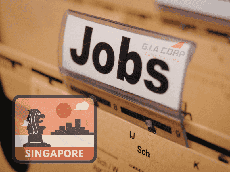Đi Singapore Có Cần Giấy Xác Nhận Công Việc Không? 2026