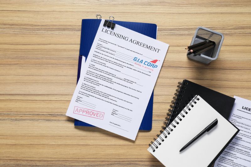 Đổi Bằng Lái Nước Ngoài Tại TP.HCM 2026 – Thủ Tục & Thời Gian | G.I.A CORP