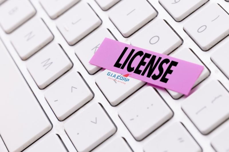 Visa Du Lịch Có Đổi Bằng Lái Xe Ở Việt Nam Được Không? Giải Đáp 2026 | G.I.A CORP