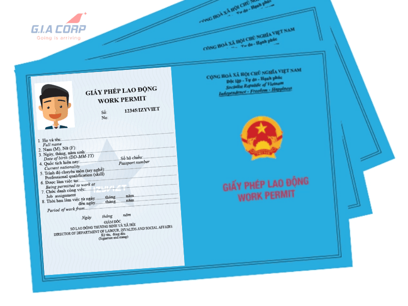 Work Permit KCN VSIP 2 TP.HCM 2026 | G.I.A CORP