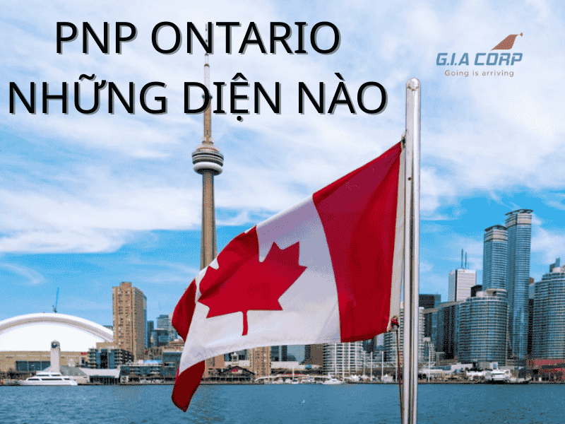 Ontario PNP Có Những Diện Nào? Cách Chọn Stream Phù Hợp | G.I.A CORP