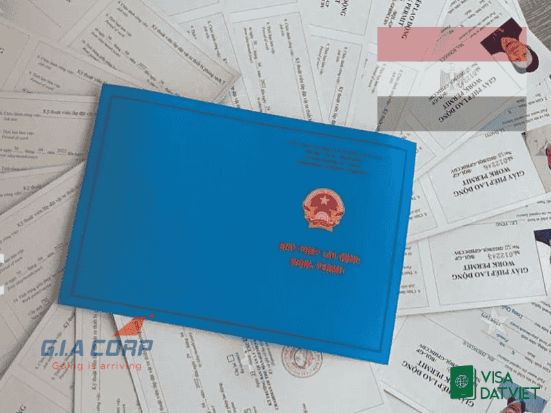 Hướng dẫn xin work permit cho người Ai Cập tại Việt Nam