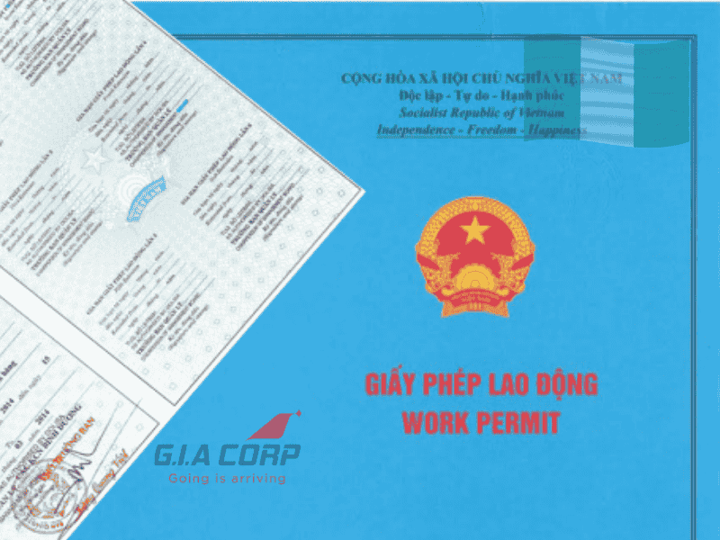 Hướng dẫn xin work permit cho người Nigeria tại Việt Nam