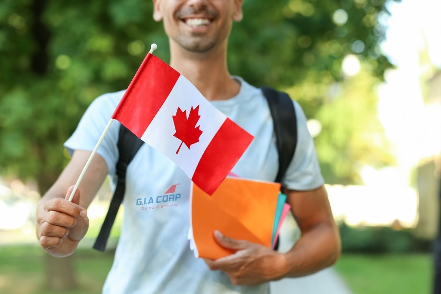 Quá trình chuẩn bị hồ sơ định cư Canada cho người độc thân cần được lên kế hoạch rõ ràng
