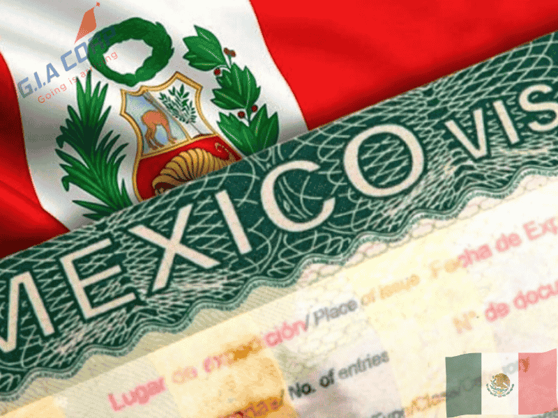 Visa Mexico cho người làm tự do