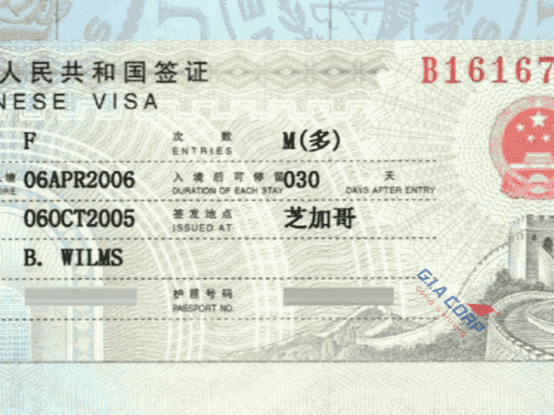 visa-trung-quoc-loai-f