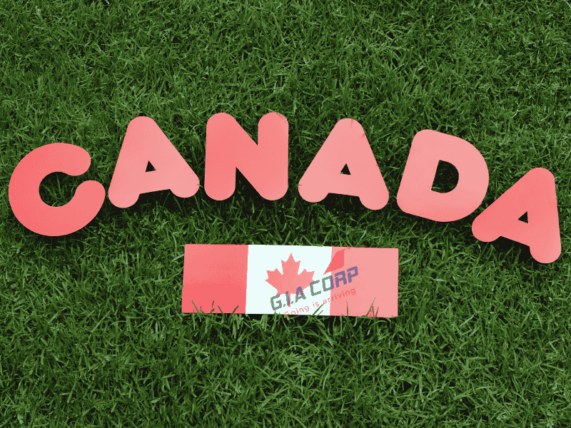 Xin visa Canada tại Huế